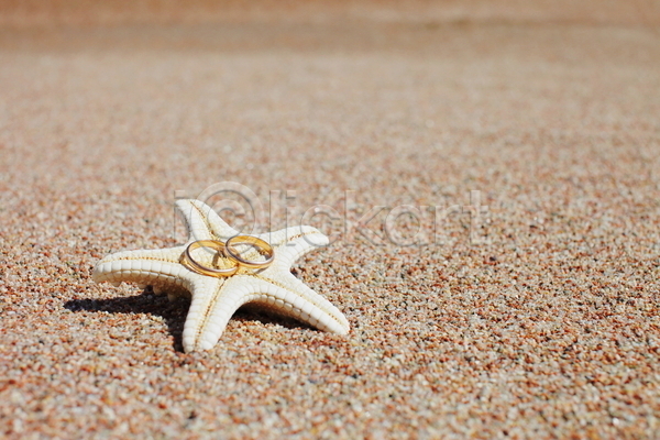 사람없음 JPG 포토 해외이미지 결혼반지 모래 불가사리 야외 여름(계절) 주간
