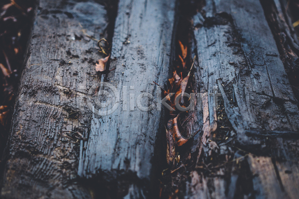 사람없음 JPG 포토 해외이미지 내추럴 목재 백그라운드 선 선로 수목 썩음 옛날 잡동사니 접속 질감 추상 트랙 패턴