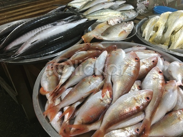 신선 사람없음 JPG 포토 해외이미지 건강 낚시 날것 동물 바다 백그라운드 분홍색 시장 식사 요리 음식 자연 잡기 재료 해산물