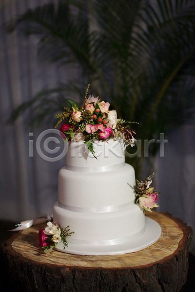 사람없음 JPG 포토 해외이미지 결혼 꽃 나무탁자 웨딩케이크 잎 장식 케이크