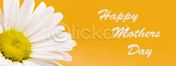 귀여움 사랑 축하 특별함 행복 희망 사람없음 어린이 여자 JPG 포토 해외이미지 관계 기념 꽃 꽃무늬 꽃잎 노란색 데이지 디자인 메시지 모양 미라 미술 배너 백그라운드 벚꽃 봄 사인 소원 스타일 신용카드 엄마 유행 인사 장식 쪽지 추상 컨셉 텍스트 통신 패턴 해외포토