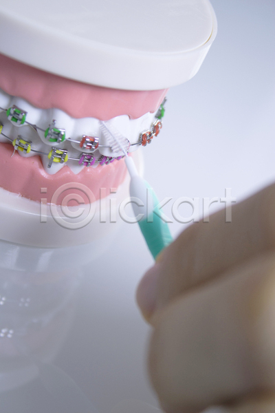 사람없음 JPG 포토 해외이미지 위생관리 치과 치아 치아건강 치아관리 치아교정 치아모형 틀니