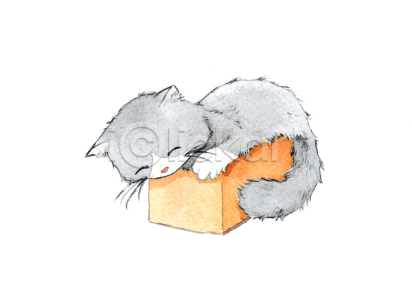 사람없음 JPG 포토 해외이미지 고양이 그림 상자 수채화(물감) 한마리