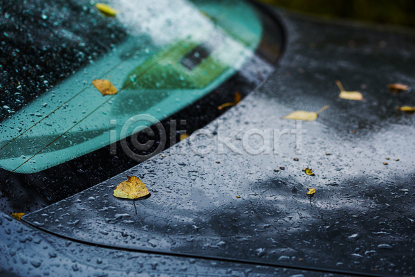 떨어짐 사람없음 JPG 아웃포커스 포토 해외이미지 가을(계절) 나뭇잎 낙엽 비(날씨) 빗방울 야외 자동차 주간 풍경(경치)