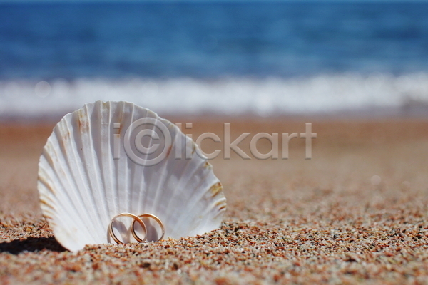 사람없음 JPG 포토 해외이미지 결혼반지 모래 야외 여름(계절) 조개껍데기 주간 해변