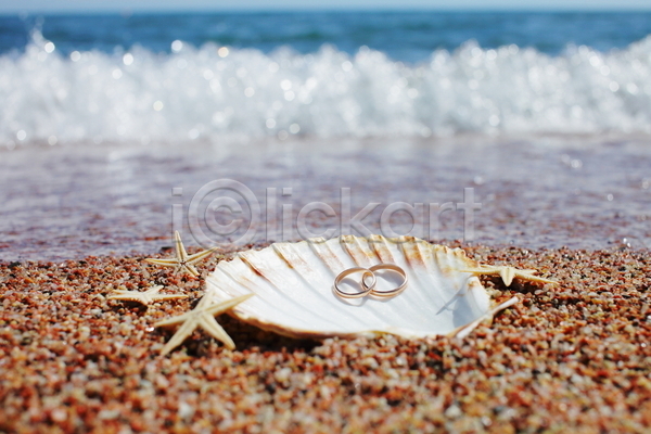 사람없음 JPG 포토 해외이미지 결혼반지 모래 불가사리 야외 여름(계절) 조개껍데기 주간 파도 해변