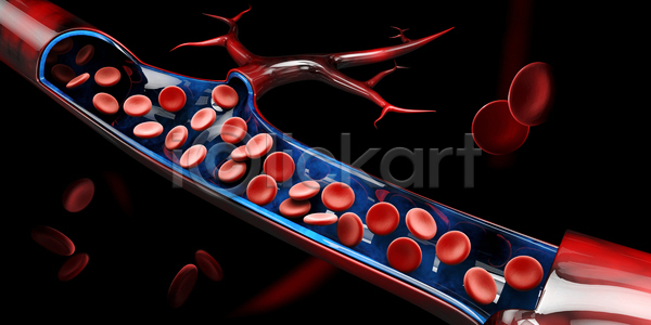 사람없음 3D JPG 포토 해외이미지 세포 적혈구 정맥 혈관 혈구