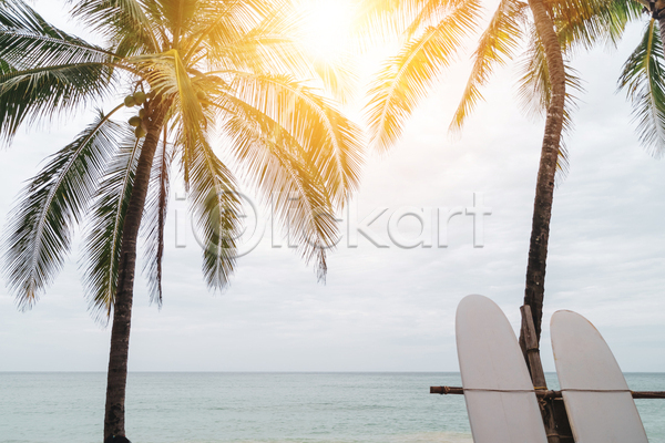 사람없음 JPG 포토 해외이미지 바다 서핑보드 야외 야자수 여름(계절) 여름풍경 주간 하늘 햇빛