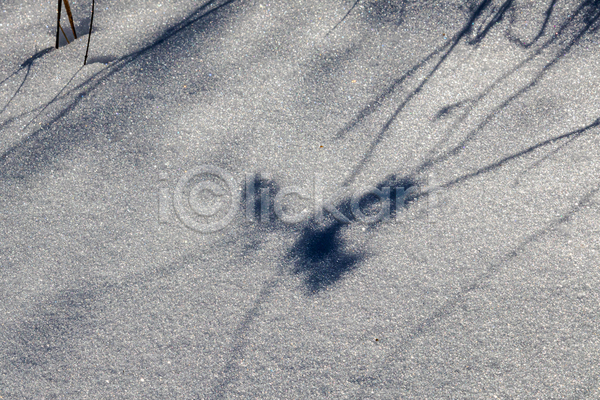 추위 사람없음 JPG 포토 해외이미지 겨울 그늘 그림자 내추럴 냉동 눈내림 반짝임 백그라운드 야외 얼음 자연 주간 질감 햇빛 허브
