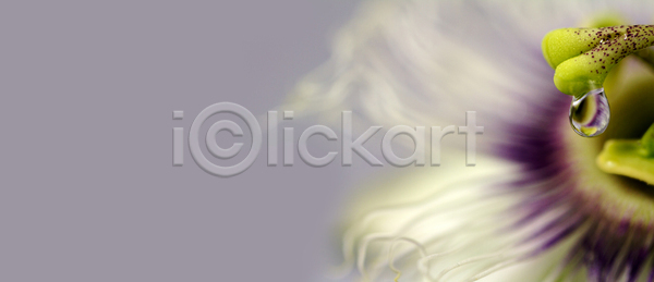 떨어짐 열정 사람없음 JPG 템플릿 포토 해외이미지 고립 공백 과일 기념일 꽃 꽃수술 꽃잎 디자인 메시지 모양 문서 물 미술 반사 백그라운드 비즈니스 사무실 사인 삽입 생일 스타일 업무 오브젝트 우주 인쇄 장식 직업 쪽지 초록색 추상 컨셉 텍스트 통신 패턴 해외포토 확인 흰색