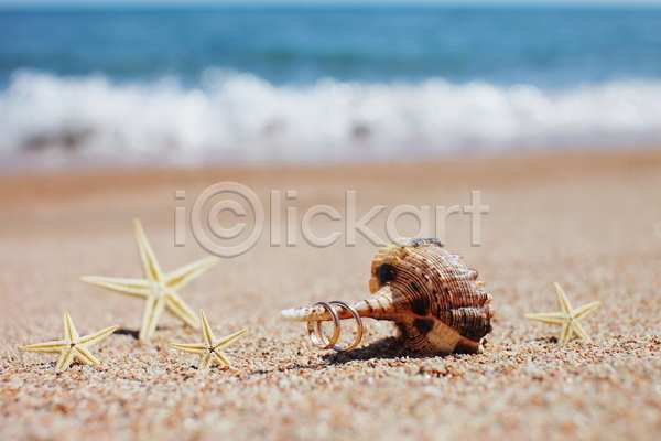 사람없음 JPG 포토 해외이미지 결혼반지 모래 불가사리 소라 야외 여름(계절) 주간 해변
