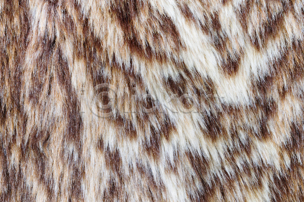 사람없음 JPG 포토 해외이미지 거짓 고양이 내추럴 백그라운드 벽지 야생동물 양모 인공 자연 질감 치타 코트 털 패턴 표면 표범 피부 호랑이