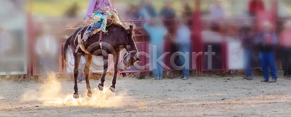 경쟁 위험 자신감 남자 사람없음 JPG 포토 해외이미지 가축 거친 경기장 공연 달러 동물 라이더 로데오 먼지 모션 밧줄 부츠 서쪽 속도 스포츠 승마 승차 시골 어려움 오지 이벤트 점프 주식 카우보이 포즈 해외포토 호주