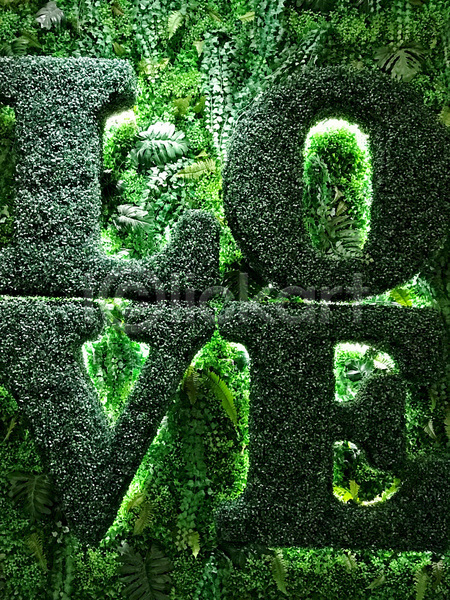사랑 신선 사람없음 JPG 포토 해외이미지 거짓 건축양식 꽃무늬 내부 내추럴 단어 디자인 미술 백그라운드 벽 세로 식물 실내 야외 원예 인공 잎 자연 장식 정원 질감 초록색 추상 컨셉 패턴 환경