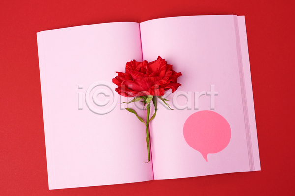 사람없음 JPG 포토 해외이미지 공책 꽃 말풍선 빨간색 오브젝트 장미