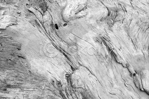 사람없음 JPG 실루엣 포토 해외이미지 흑백 갈색 그림자 나무 나무껍질 내추럴 널 노화 늑대 디자인 모양 목재 미술 바닥 백그라운드 소나무 수목 숨기 숫자 신체 옛날 유령 윤곽 자연 질감 탁자 통나무 판넬 패턴 프레임