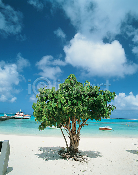 사람없음 JPG 포토 구름(자연) 나무 모래사장 바다 야외 여행 자연 주간 풍경(경치) 하늘 한그루 해변 휴가 휴양지