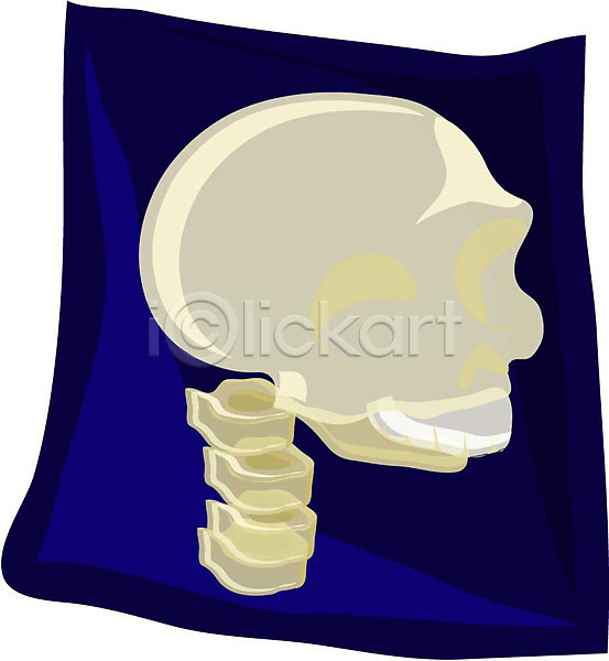 사람없음 EPS 아이콘 근골격기관 머리 뼈 엑스레이 오브젝트 의료용품 장기(의학) 클립아트 해골