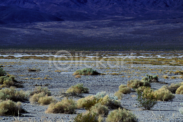 사람없음 JPG 포토 건초 사막 야외 자연 주간 초원(자연) 풍경(경치) 해외풍경 황무지
