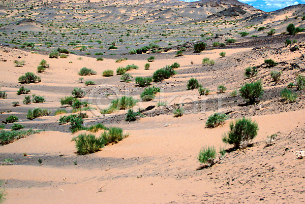 사람없음 JPG 포토 건초 몽골 사막 아시아 외국문화 자연 풀(식물) 풍경(경치) 해외풍경 황무지