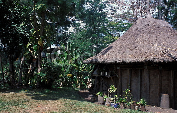사람없음 JPG 포토 고건축 나무 백그라운드 식물 야외 오두막 오세아니아 외국문화 자연 주간 파푸아뉴기니 풍경(경치) 해외풍경