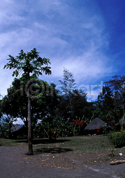 사람없음 JPG 포토 고건축 구름(자연) 나무 백그라운드 식물 야외 오두막 오세아니아 외국문화 자연 주간 파푸아뉴기니 풍경(경치) 하늘 해외풍경