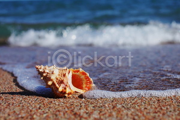 사람없음 JPG 포토 해외이미지 모래 소라 야외 여름(계절) 주간 파도 해변