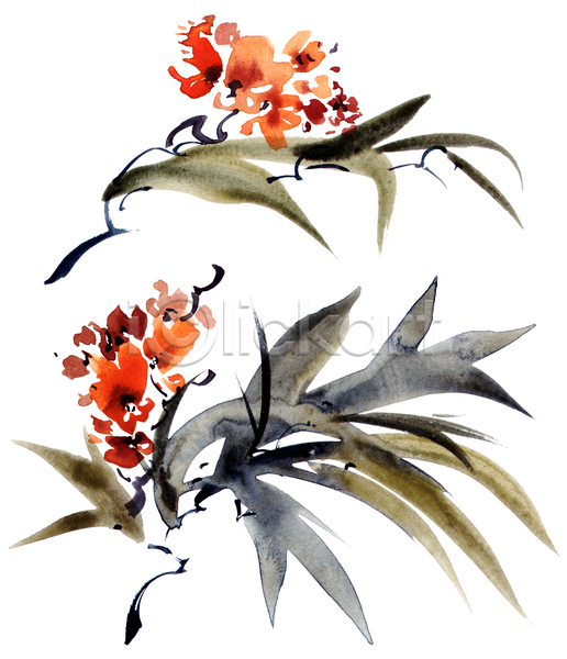 동양인 사람없음 JPG 일러스트 해외이미지 그림 꽃 번짐 붓터치 수채화(물감) 식물