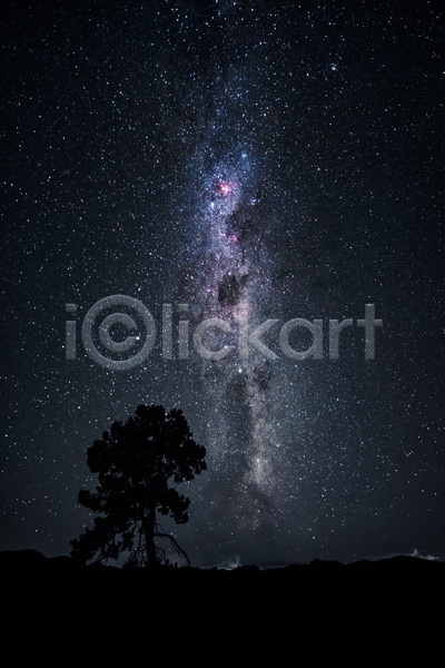감성 분위기 사람없음 JPG 실루엣 포토 해외이미지 나무 몽환 밤하늘 별 야간 야외 은하수(은하)