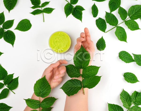 신체부위 JPG 포토 해외이미지 뷰티 손 손짓 실내 잎 크림 화장품 흰배경