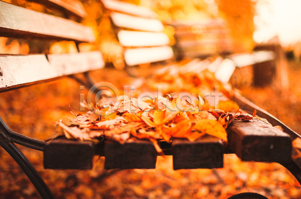 사람없음 JPG 포토 해외이미지 가을(계절) 낙엽 단풍 백그라운드 벤치 야외 주황색 풍경(경치)
