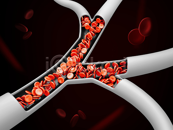 이동 사람없음 3D JPG 포토 해외이미지 세포 적혈구 정맥 혈관 혈구