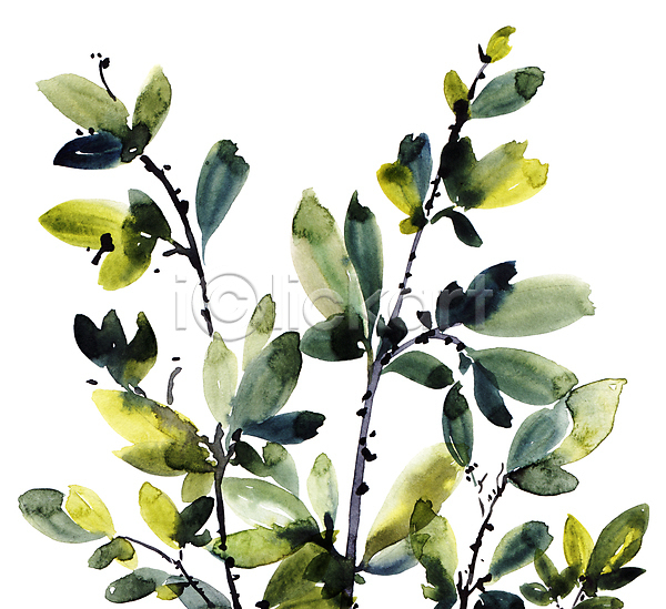 동양인 사람없음 JPG 일러스트 해외이미지 그림 꽃 번짐 붓터치 뷰티 수채화(물감) 식물