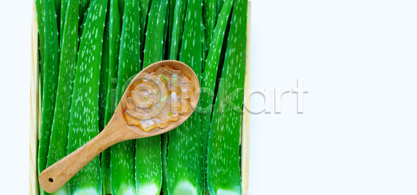 사람없음 JPG 포토 해외이미지 뷰티 스튜디오촬영 실내 알로에 해외포토 흰배경