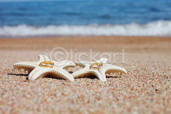 사람없음 JPG 포토 해외이미지 결혼반지 모래 불가사리 야외 여름(계절) 주간 해변