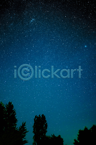 감성 분위기 사람없음 JPG 실루엣 포토 해외이미지 나무 몽환 밤하늘 별 야간 야외 파란색