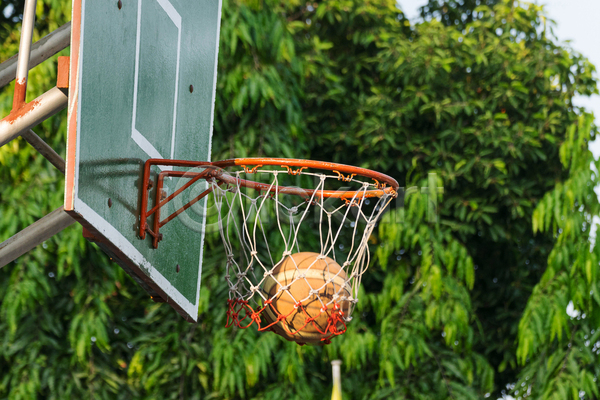 목표 청춘(젊음) 사람없음 JPG 포토 해외이미지 나무 농구 농구공 농구대 야외 자연 주간