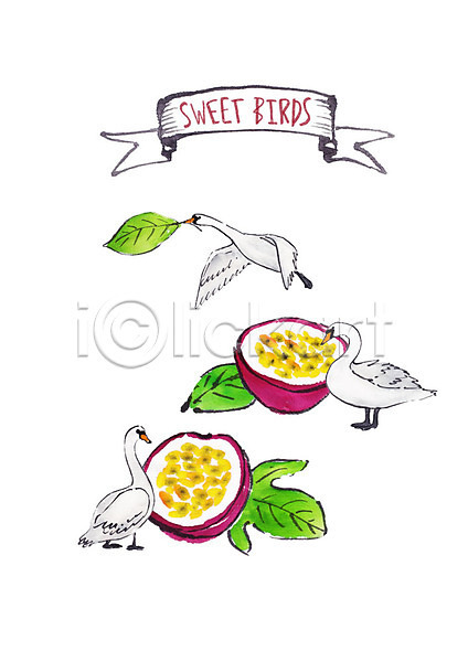 사람없음 PSD 일러스트 과일 나뭇잎 붓터치 세마리 수채화(물감) 열대과일 오리 조류 패션후르츠