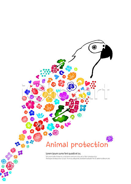 감성 귀여움 동물보호 따뜻함 보호 사람없음 PSD 일러스트 꽃 동물 수채화(물감) 앵무새 컬러풀 한마리