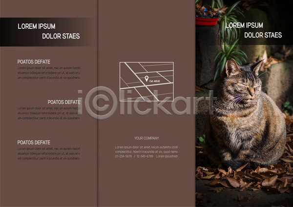 사람없음 AI(파일형식) 템플릿 3단접지 갈색 고양이 낙엽 리플렛 반려 북디자인 북커버 약도 위치 출판디자인 팜플렛 표지 표지디자인 한마리 화분