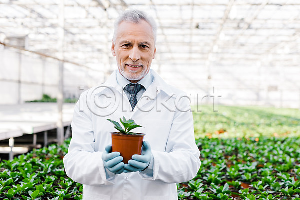 60대 남자 노년 노인남자한명만 사람 서양인 외국인 한명 JPG 앞모습 포토 들기 미소(표정) 상반신 생명공학 서기 식물 실내 실험 연구복 연구원 온실 잎 체코 화분