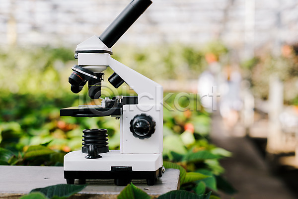사람없음 JPG 근접촬영 포토 생명공학 식물 실내 실험 온실 체코 현미경 화분