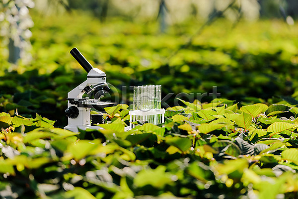 사람없음 JPG 포토 시험관 식물 실내 실험 실험기구 온실 용액 잎 체코 현미경