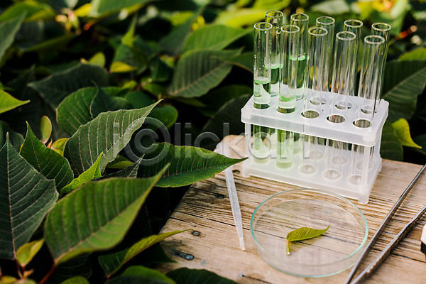 사람없음 JPG 포토 스포이트 시험관 식물 실내 실험 실험기구 온실 용액 잎 체코 핀셋
