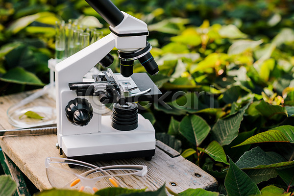 사람없음 JPG 포토 보안경 스포이트 시험관 식물 실내 실험기구 온실 잎 체코 핀셋 현미경