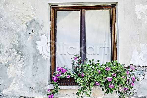 사람없음 JPG 포토 꽃 벽 야외 여행 올드타운 유럽풍경 주간 창문 크로아티아 풍경(경치) 해외풍경 화분