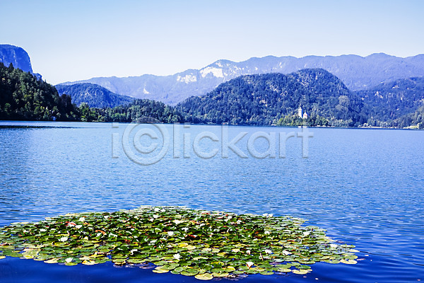 사람없음 JPG 포토 블레드 블레드호수 산 슬로베니아 야외 여행 유럽풍경 잎 주간 풍경(경치) 하늘 해외풍경 호수