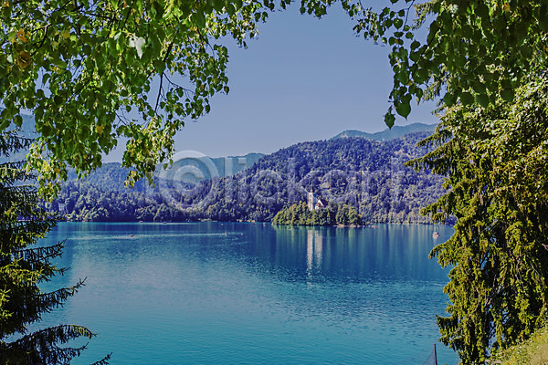 사람없음 JPG 포토 나무 블레드 블레드호수 슬로베니아 야외 여행 유럽풍경 잎 주간 풍경(경치) 해외풍경 호수