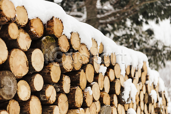 사람없음 JPG 포토 강원도 겨울 겨울풍경 계절 나무 눈(날씨) 산 설경 야외 장작 주간 평창 풍경(경치) 한국
