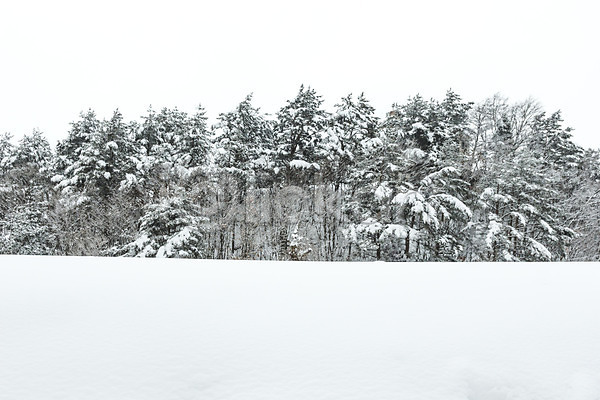 사람없음 JPG 포토 강원도 겨울 겨울풍경 계절 눈(날씨) 눈꽃 산 설경 설원 숲 야외 주간 평창 풍경(경치) 한국